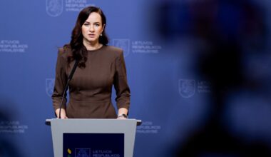 Ruginienė išvardino, ką tiksliai nusprendė Lietuva pasitelkti kovai su balionais iš Baltarusijos