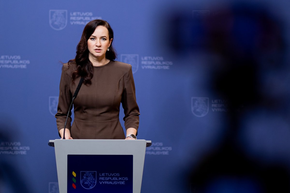 Ruginienė išvardino, ką tiksliai nusprendė Lietuva pasitelkti kovai su balionais iš Baltarusijos