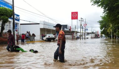 Smarkios liūtys Meksikoje pražudė 28 žmones