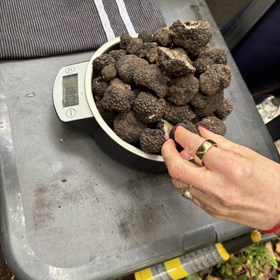 Trumų medžioklė Švedijoje.