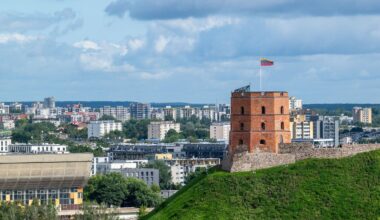Vilnietė nusivylė savivaldybės akcija - Delfi kartu