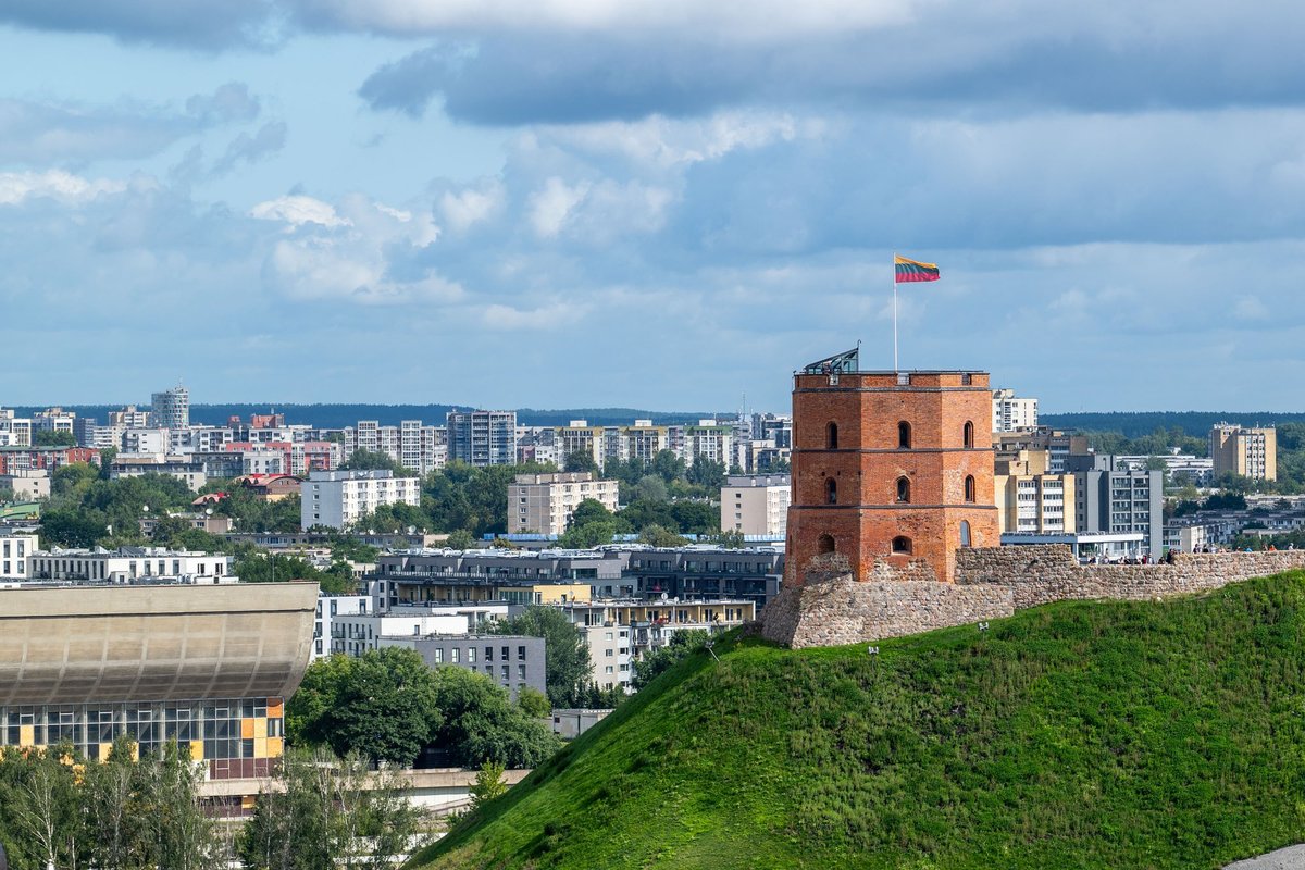 Vilnietė nusivylė savivaldybės akcija - Delfi kartu
