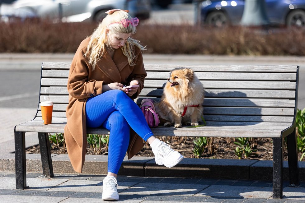 Praeiviai, telefonas, vilniečiai, pavasaris, ruduo, augintinis, šuo, gyvūnas (ELTA / Dainius Labutis) Praeiviai, telefonas, vilniečiai, pavasaris, ruduo, augintinis, šuo, gyvūnas (ELTA / Dainius Labutis)