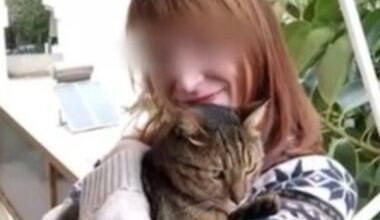 Paaiškėjo daugiau detalių dėl išpuolio prieš 40-metę lietuvę Graikijoje - Delfi