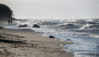 Pajūryje vaikščiojęs vyras nustėro: supratus, ką rado, net supykino