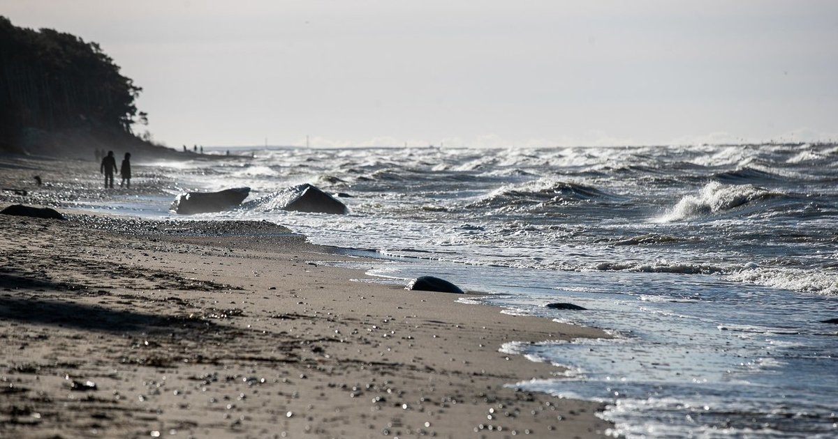 Pajūryje vaikščiojęs vyras nustėro: supratus, ką rado, net supykino