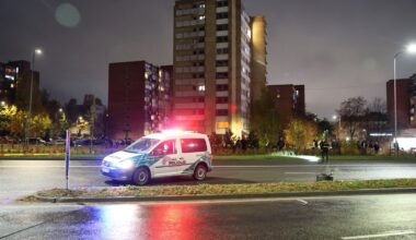 Vilniuje – BMW skrydis į stulpą