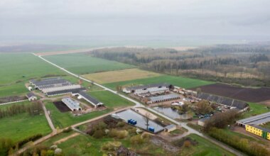 Išrinktas „Rheinmetall“ gamyklos Baisogaloje rangovas - vz.lt