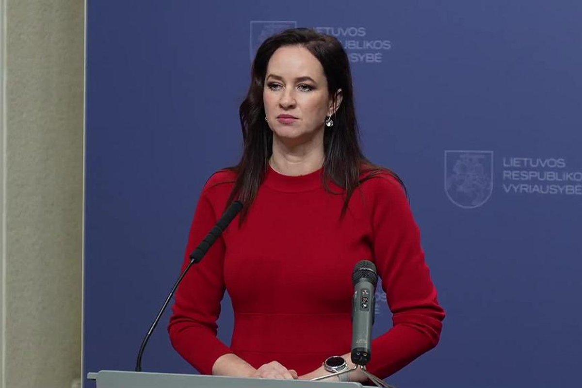 Ruginienė: kitų metų gynybos biudžetas sieks 5,38 proc. BVP