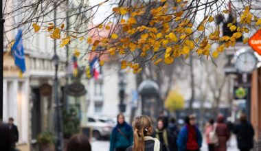 Dalyje Lietuvos oro temperatūra nesieks nė 10 laipsnių, bet kai kur sušils ir iki 16-os