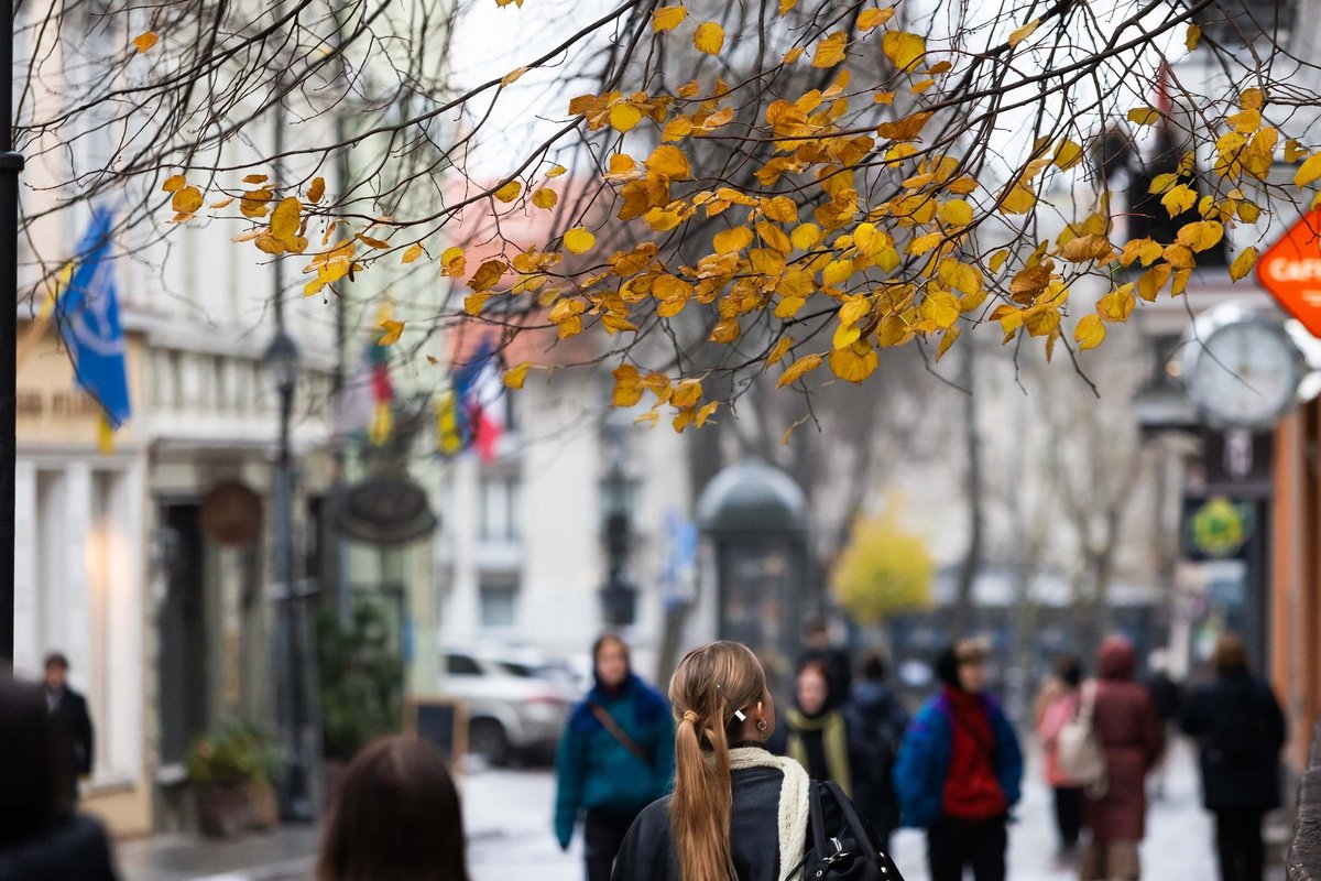 Dalyje Lietuvos oro temperatūra nesieks nė 10 laipsnių, bet kai kur sušils ir iki 16-os