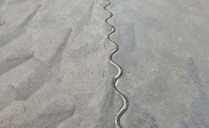 nuotrauka