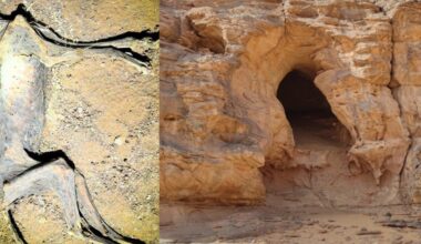 Dešimtys gepardų mumijų glumina mokslininkus – kas nutiko urve po žeme?