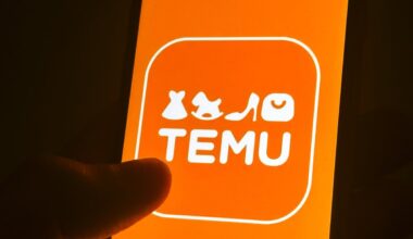 Vokietijoje pradėtas procesas prieš parduotuvės „Temu“ savininką