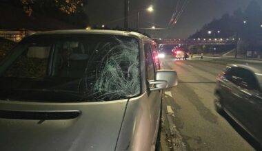 Vilniuje automobilis partrenkė vyriškį - Delfi