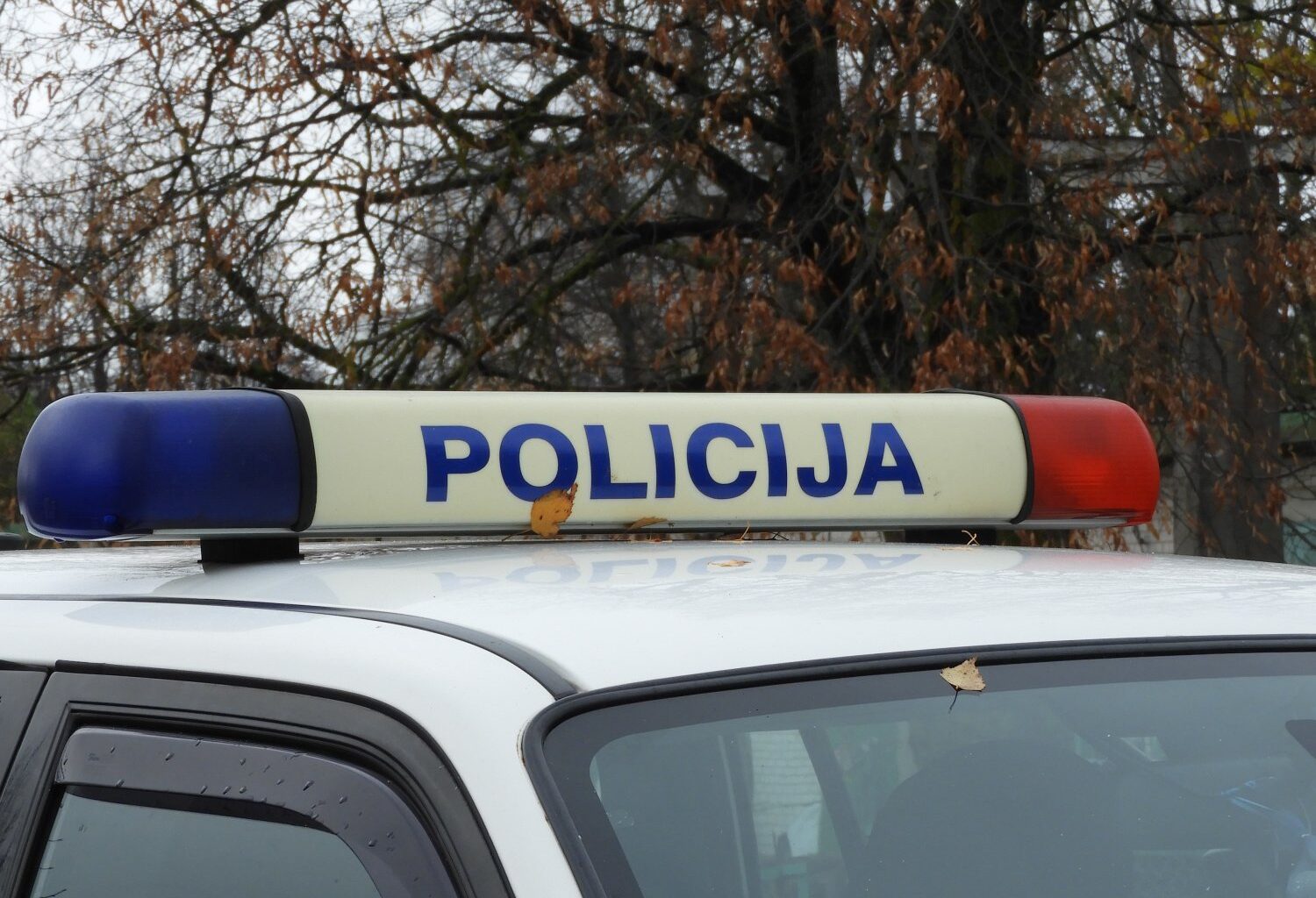 Rokiškio rajone – kruvinos istorijos finalas: įtariamas žudikas rastas negyvas