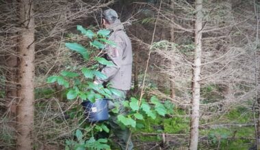 Nelegalių migrantų srautai Rokiškio rajone kelia nerimą