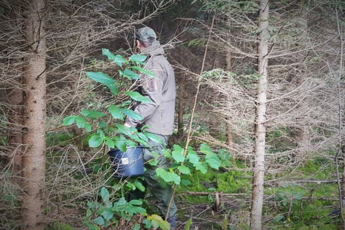 Nelegalių migrantų srautai Rokiškio rajone kelia nerimą