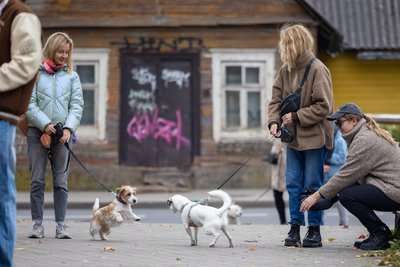 Pasaulinę gyvūnų dieną – kunigas palaimino vilniečių augintinius
