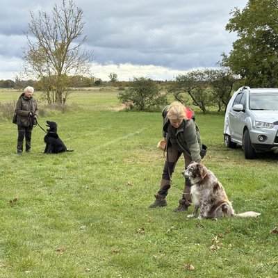 Trumų medžioklė Švedijoje.