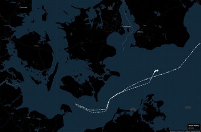 Baltijos jūroje – neįprastas rusišką naftą plukdančio tanklaivio manevras