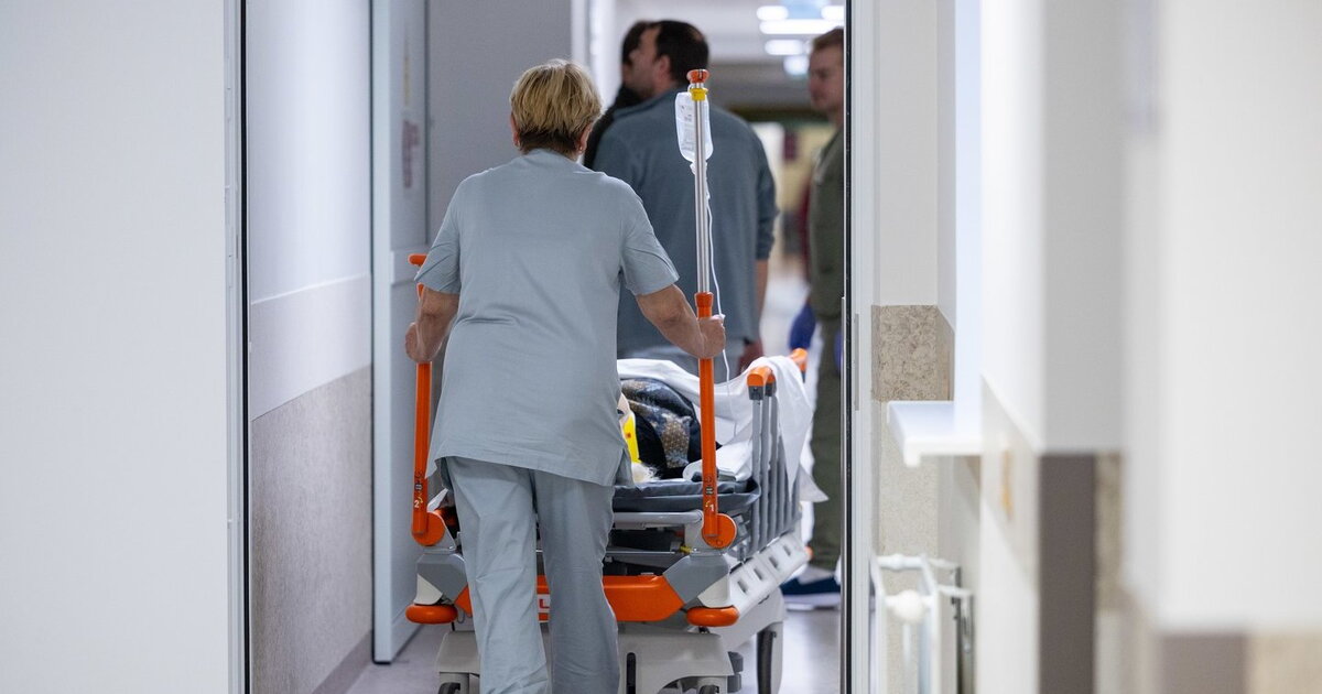 Po kraupus išpuolio prieš lietuvę – aiškėja daugiau detalių: sumuštas ir vaikas, moteris kovoja dėl gyvybės
