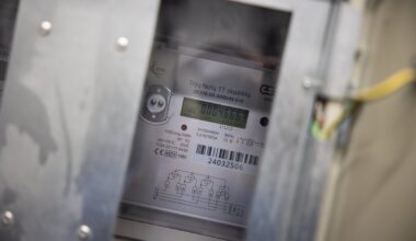 Elektros biržos „siurprizai“: kaina penktadienį trumpam priartės prie 70 centų už kWh - delfi.lt