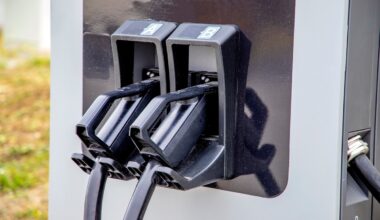 Iki kokio lygio šiandien pakilo elektromobilių kartelė?