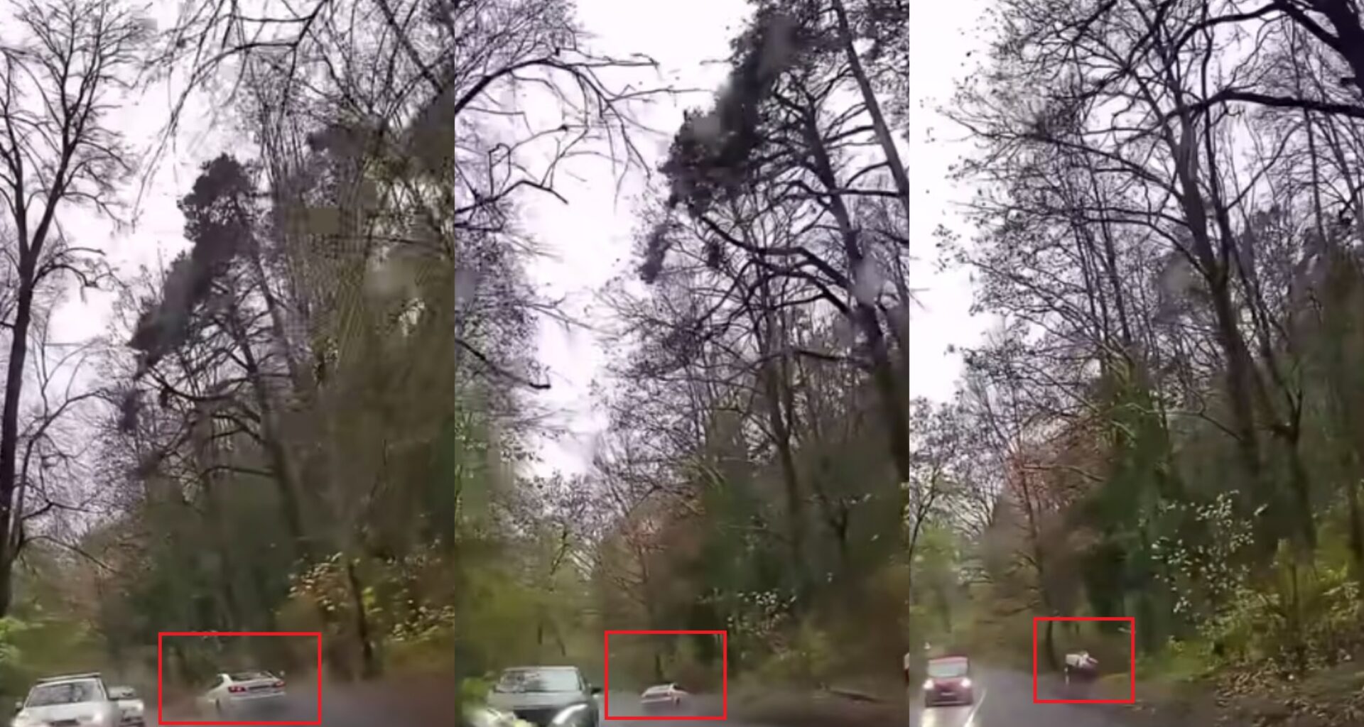 registratoriaus įraše – nesumeluota tiesa