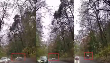 registratoriaus įraše – nesumeluota tiesa