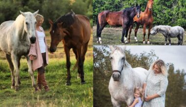 Pakaunėje sudegė žirgynas – jo įkūrėja vieniša mama liko be pastogės – Kas vyksta Kaune