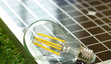 Saulės elektrinių skaičius Lietuvoje tik auga