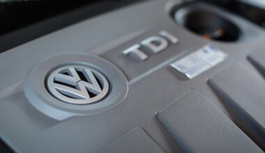 Iš Prancūzijos ir Ispanijos – prašymas Europos politikams dėl vidaus degimo varikliais varomų automobilių draudimo - Delfi