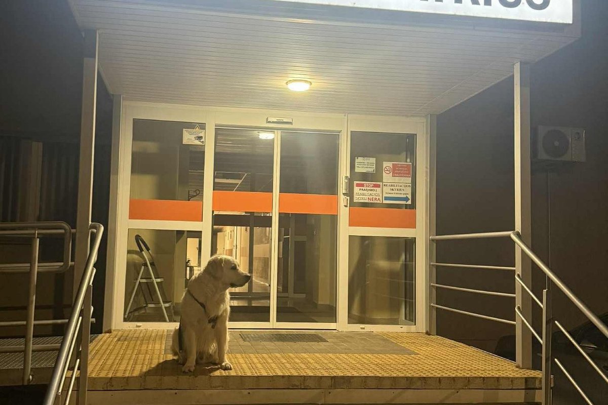 Internautus sujaudinęs vaizdas: prie ligoninės šeimininko laukia ištikimas šuo