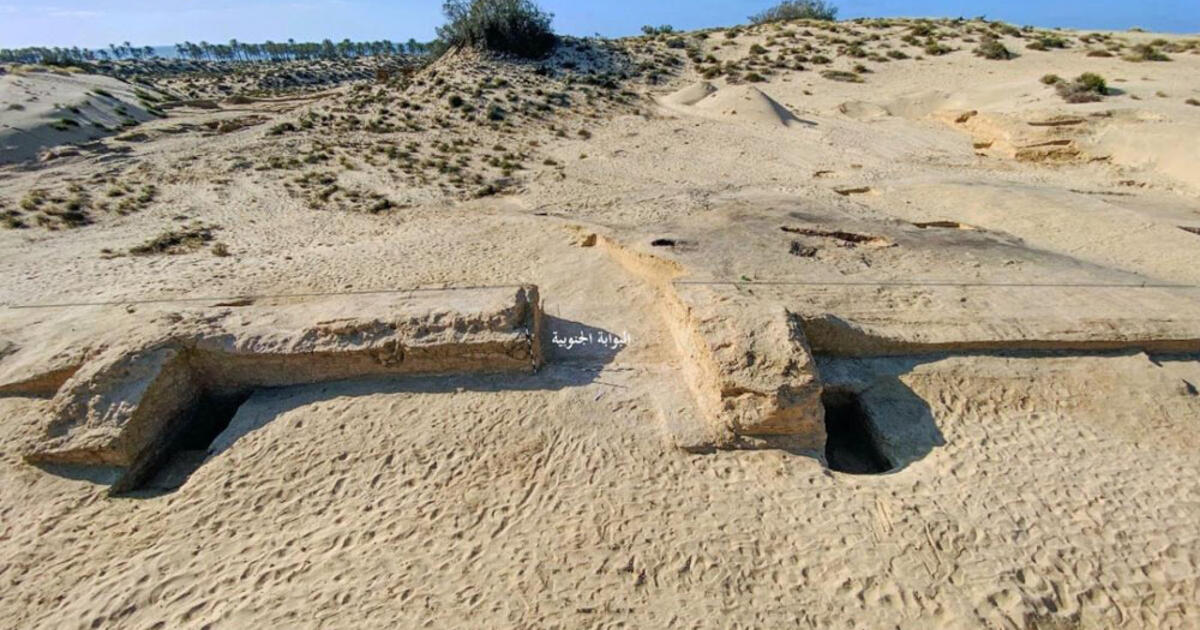 Dykumoje rasta 3500 metų senumo Egipto karinė tvirtovė: kuo ji ypatinga