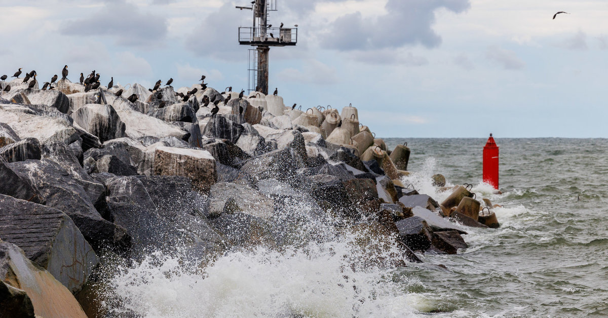 Meteorologai įspėja apie itin stiprius vėjo gūsius: kur bus pavojingiausia?