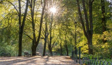 Vėlinių savaitgalis bus kontrastingas: rudens saulę keis lietus ir dargana