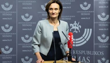 Žemaitaičio atsiprašymas Čmilytės-Nielsen neįtikino - Delfi