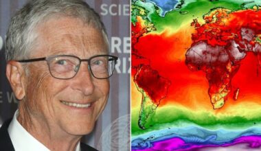Gatesas atsitraukė nuo „apokaliptinės“ klimato kaitos prognozės: ką tai reiškia?