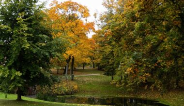 Orų prognozė pirmosioms lapkričio dienoms