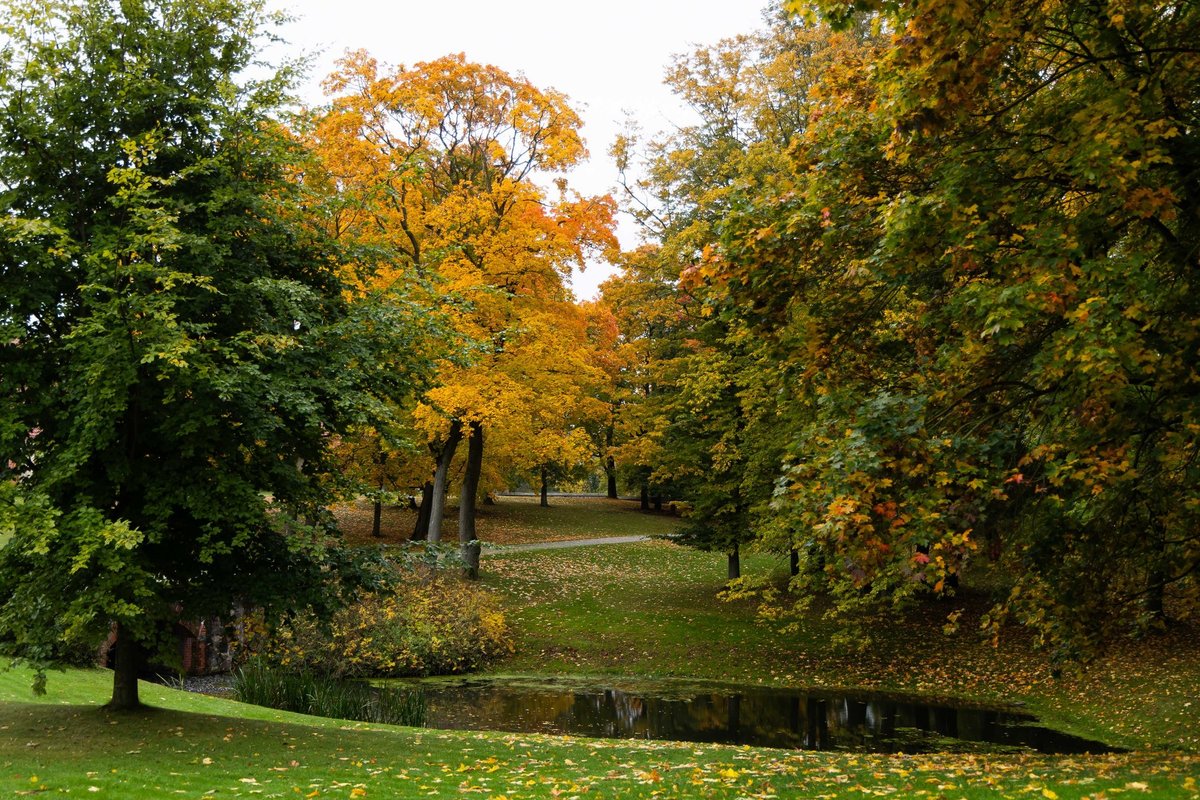 Orų prognozė pirmosioms lapkričio dienoms