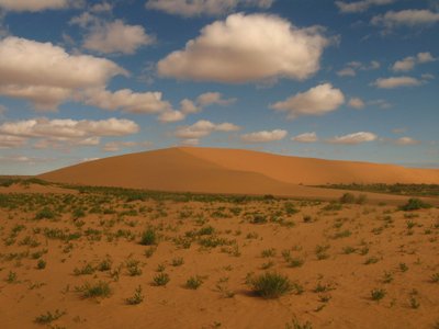 Goda Juocevičiūtė keliavo Mongolijoje