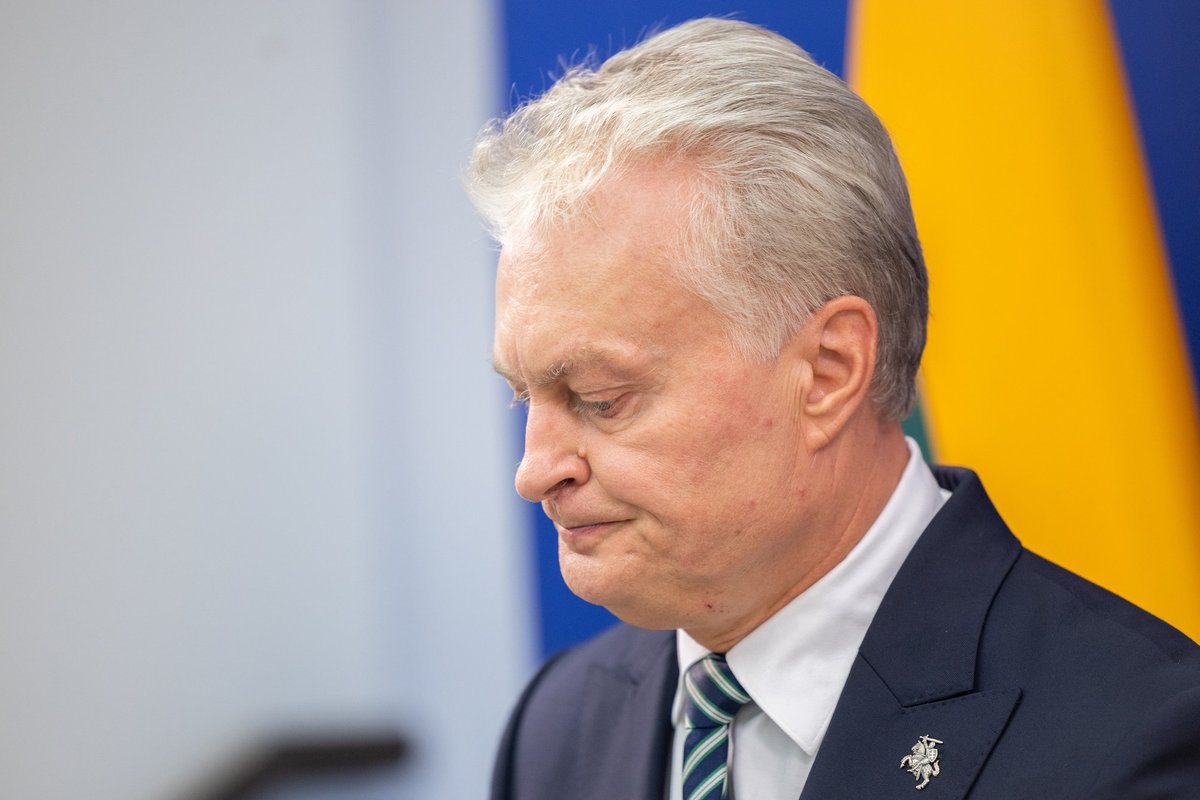 Nevyriausybinės organizacijos palieka prezidento projektą „Lietuvos galia“