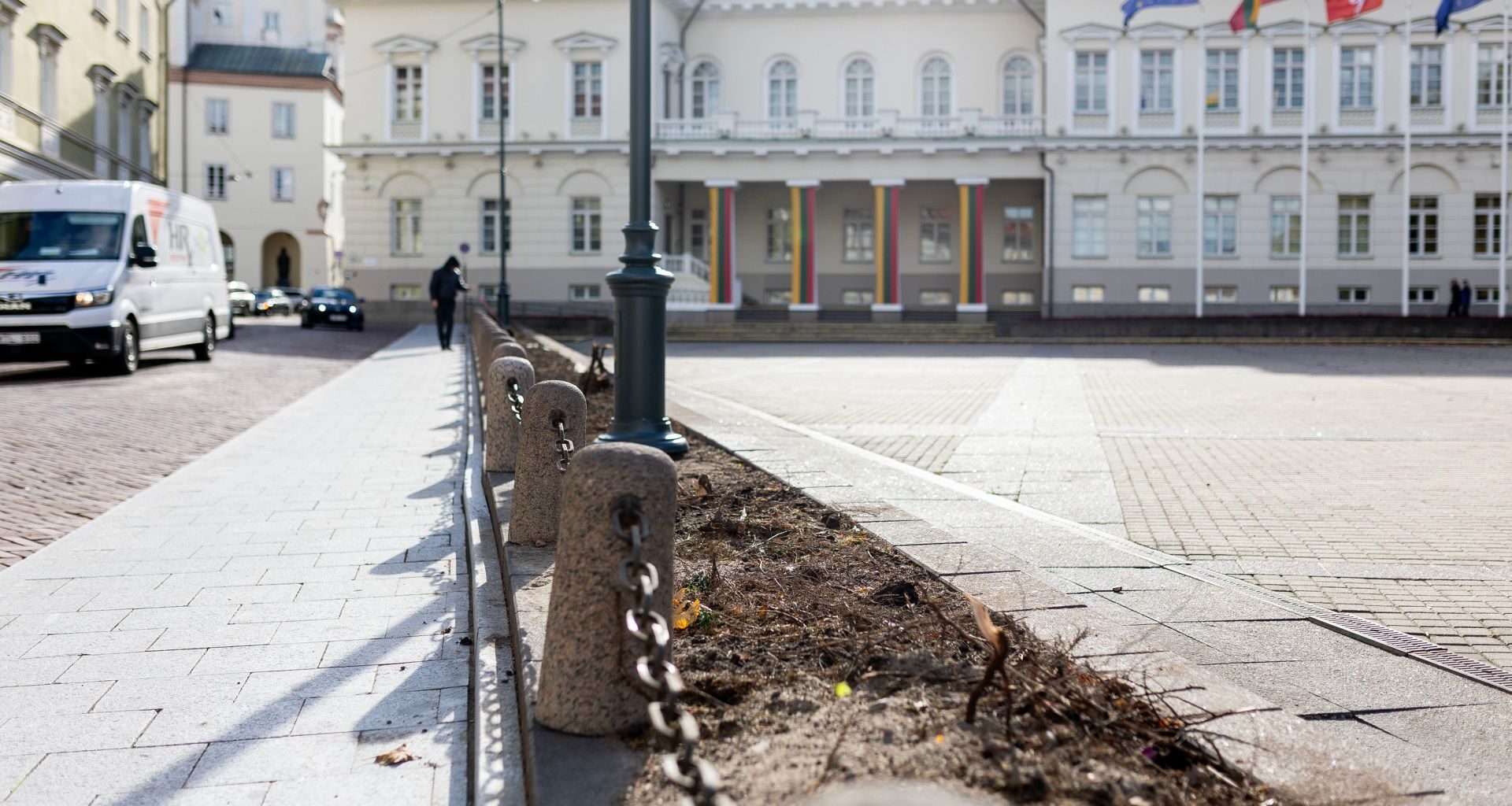 Skandalas: prie Prezidentūros iškirsti visi krūmai