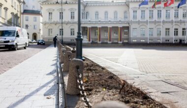 Skandalas: prie Prezidentūros iškirsti visi krūmai