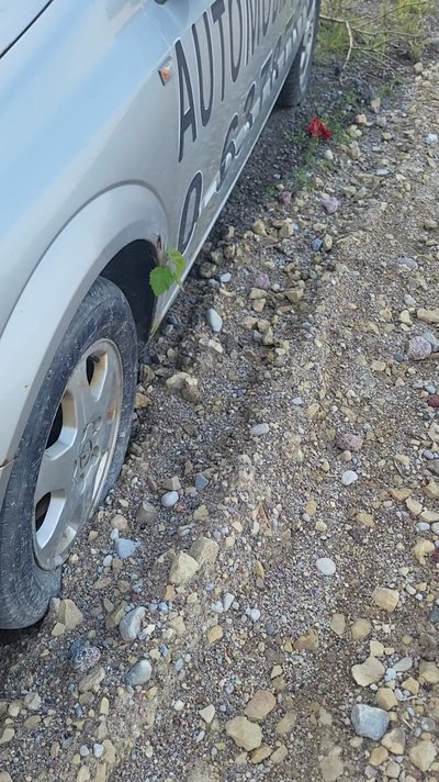 Apleisti automobiliai Klaipėdoje