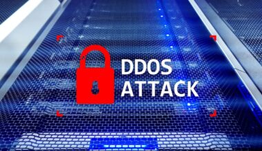 Latvijos valdžios institucijų interneto svetainės patyrė masinę DDoS ataką
