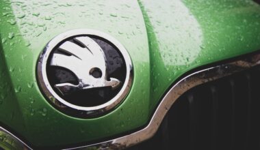 „Škoda“ aplenkė BMW ir užėmė antrąją vietą Vokietijos elektromobilių rinkoje