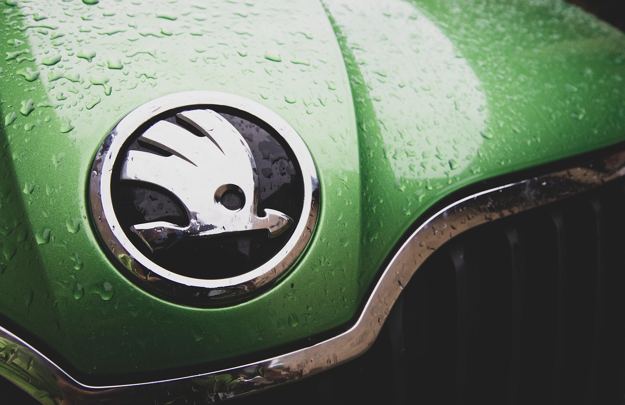 „Škoda“ aplenkė BMW ir užėmė antrąją vietą Vokietijos elektromobilių rinkoje