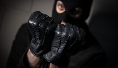 Šakių rajone įsibrovėlis sumušė šeimininką ir pagrobė jo automobilį